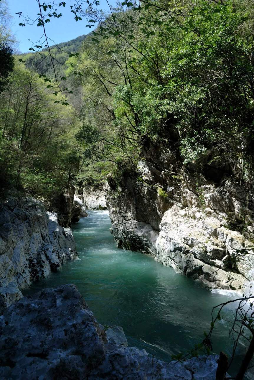 fb_img_1481888115363