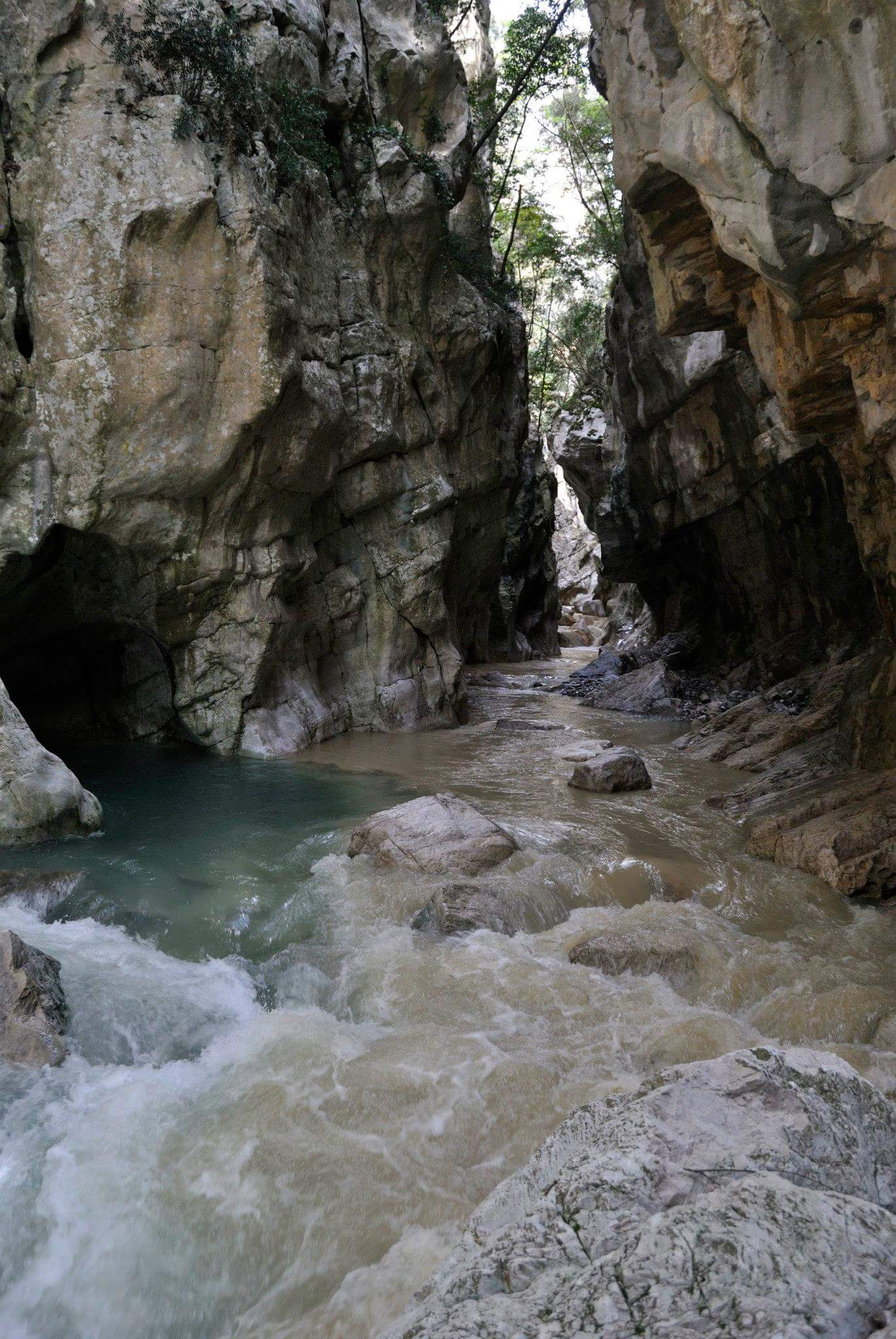 fb_img_1481888218996