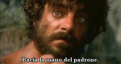 45c8f13c61c0247517512b823cb5fff6