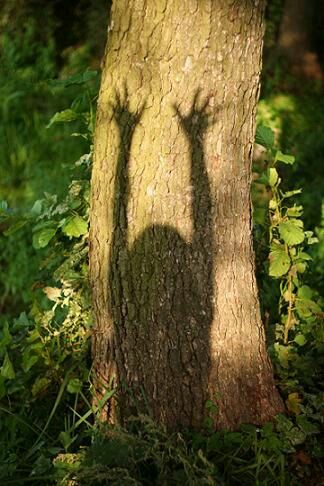 I grandi classici .Carducci “Pianto&nbsp;antico”