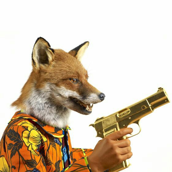 b49c1fa07a49456be7cc678851f093e7