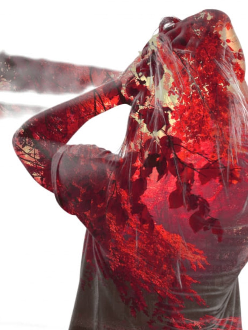 Screenshot_20180118-184603