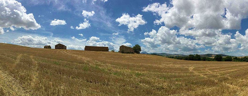 paesaggio-di-campagna-nelle-marche-828x323